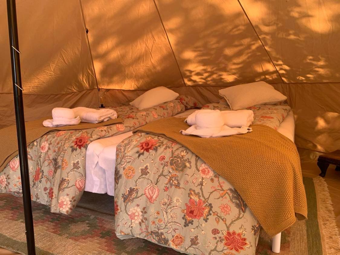 Hotel Glamping Mi Casa Tu Casadk Vissenbjerg Exteriér fotografie